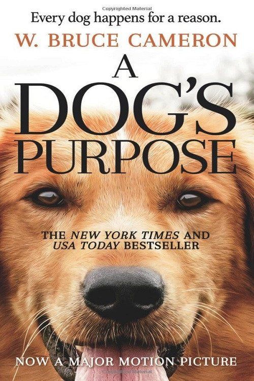 a dogs purpose the new york times bestseller is heading