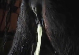anal sex with a black stallion at the farm