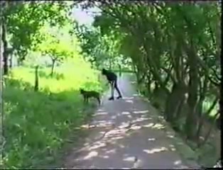 Video sex with animals in Xiantao