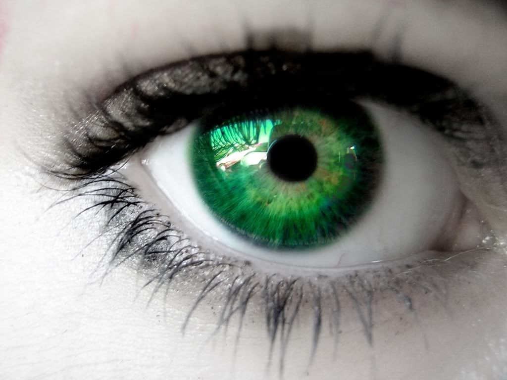 autism and sensory problems green eyes eye