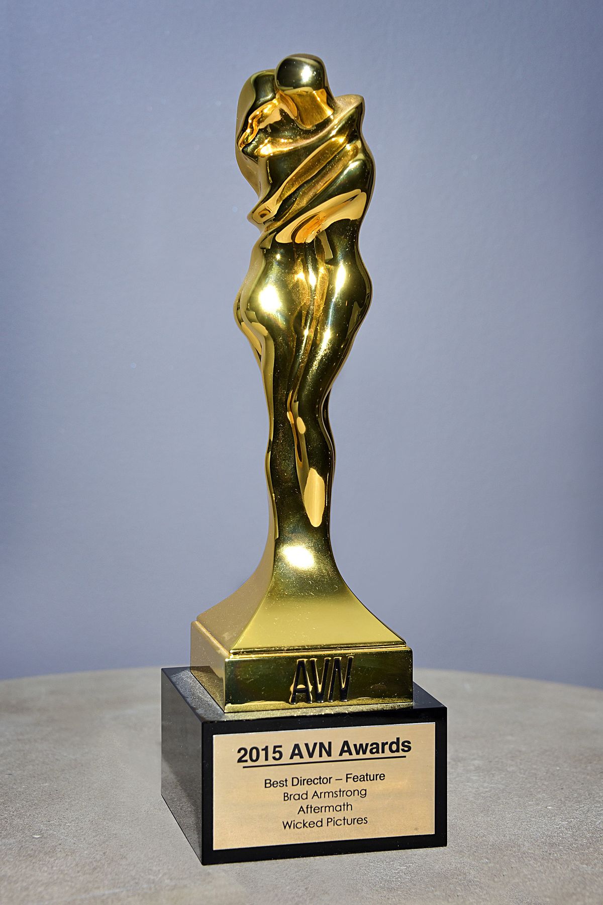 avn award wikipedia