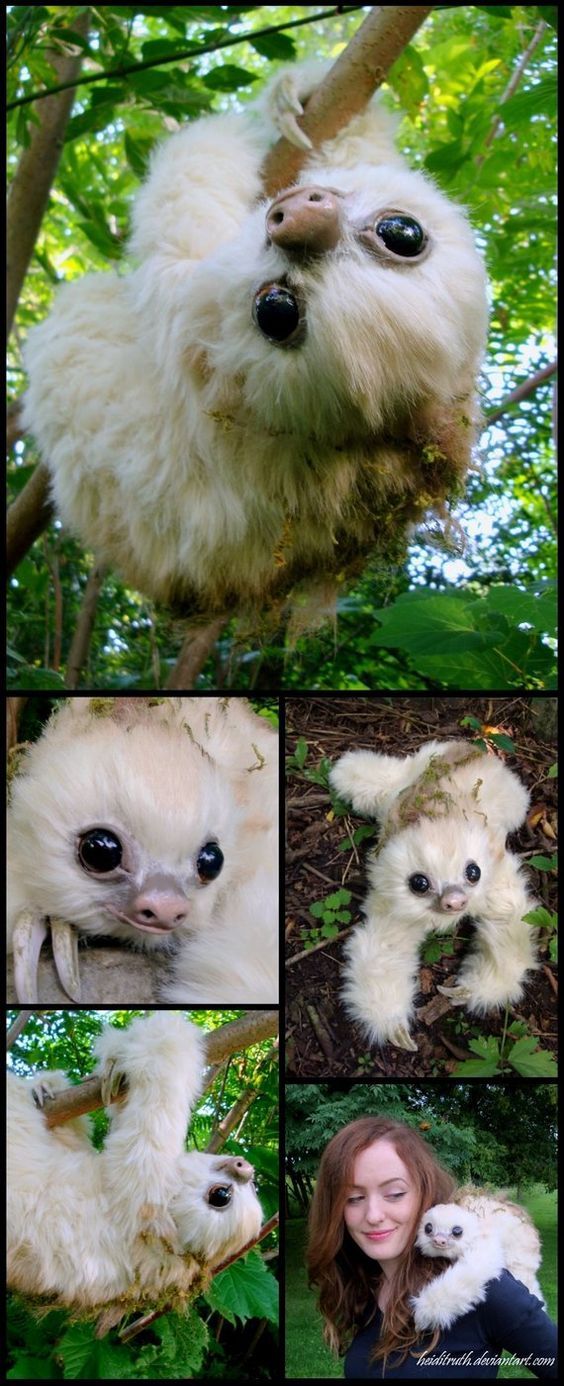 baby moss sloth handmade fantasy creature rikercreatures on deviantart