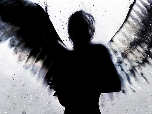 best angel wings images on pinterest angel wings dark
