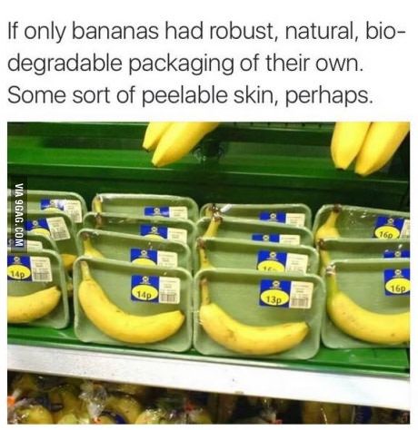 best banana fun images on pinterest cool things crazy facts 1