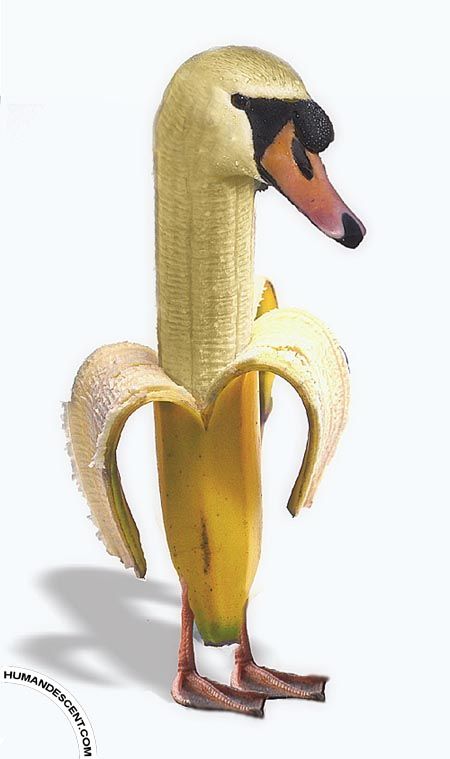 best banana nana bofana images on pinterest banana art 1