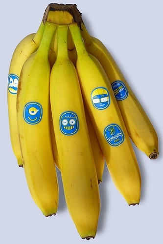 best bananas images on pinterest bananas banana art