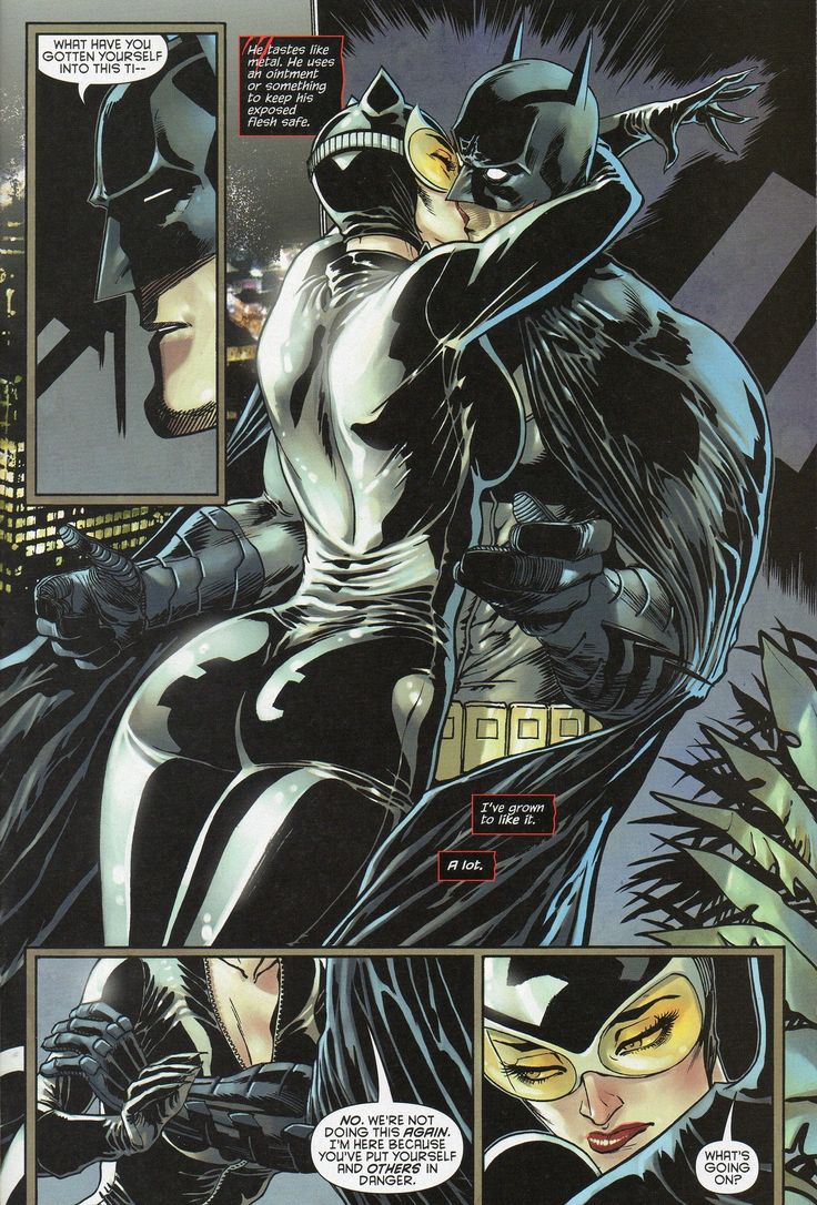 Batman Sex Art - Batman and catwoman cartoon sex - MegaPornX.com