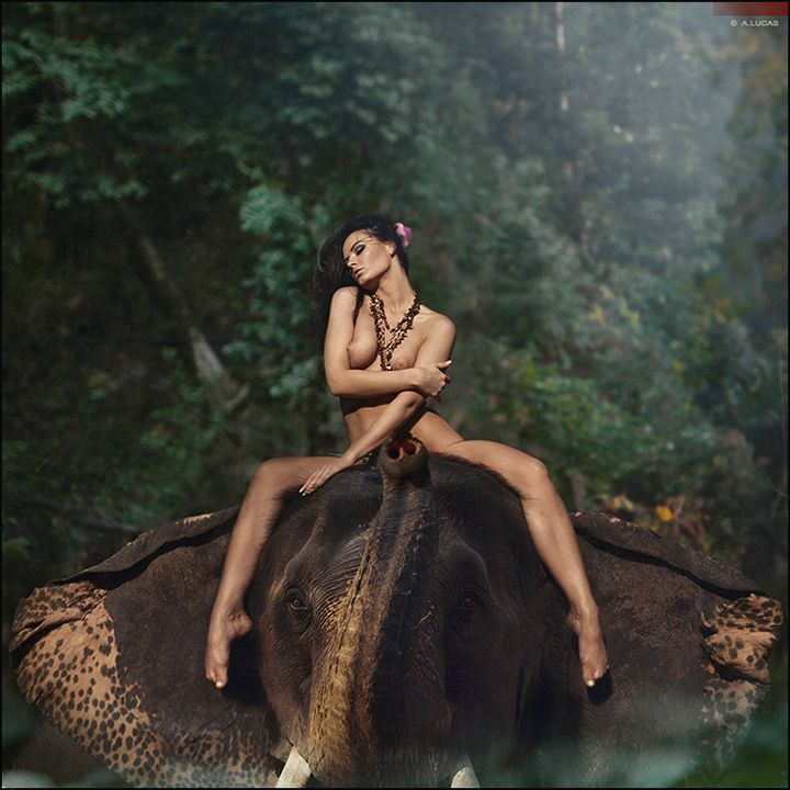 Are pictures of a woman fucking an elephant - Porn tube