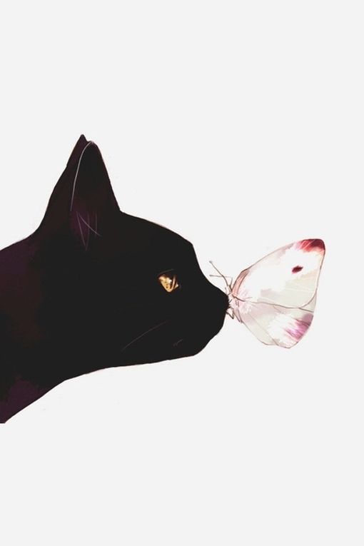 best cat art ideas on pinterest black cat illustration 2
