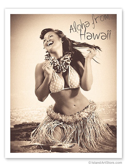 best hawaii images on pinterest aloha hawaii hula