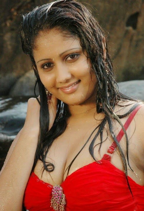 best hot sexy south indian actress images on pinterest