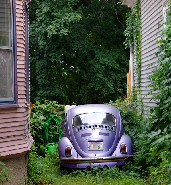 best punch buggy no punch back images on pinterest