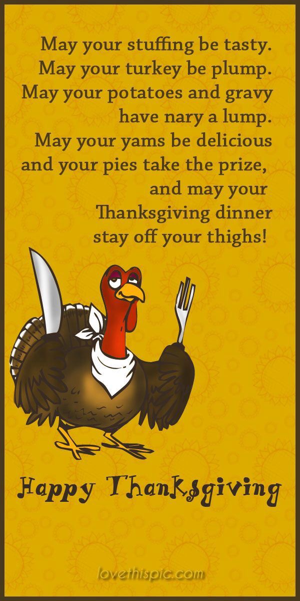 best thanksgiving humor images on pinterest thanksgiving
