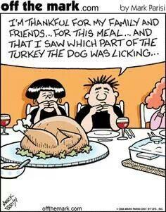 best thanksgiving images on pinterest funny images funny 4