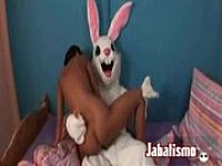 bugs bunny gay porno ashley judd bug video blow job porn