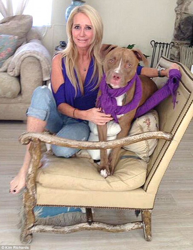 canine companion kim richards has been forced to send her pit bull kingsley away