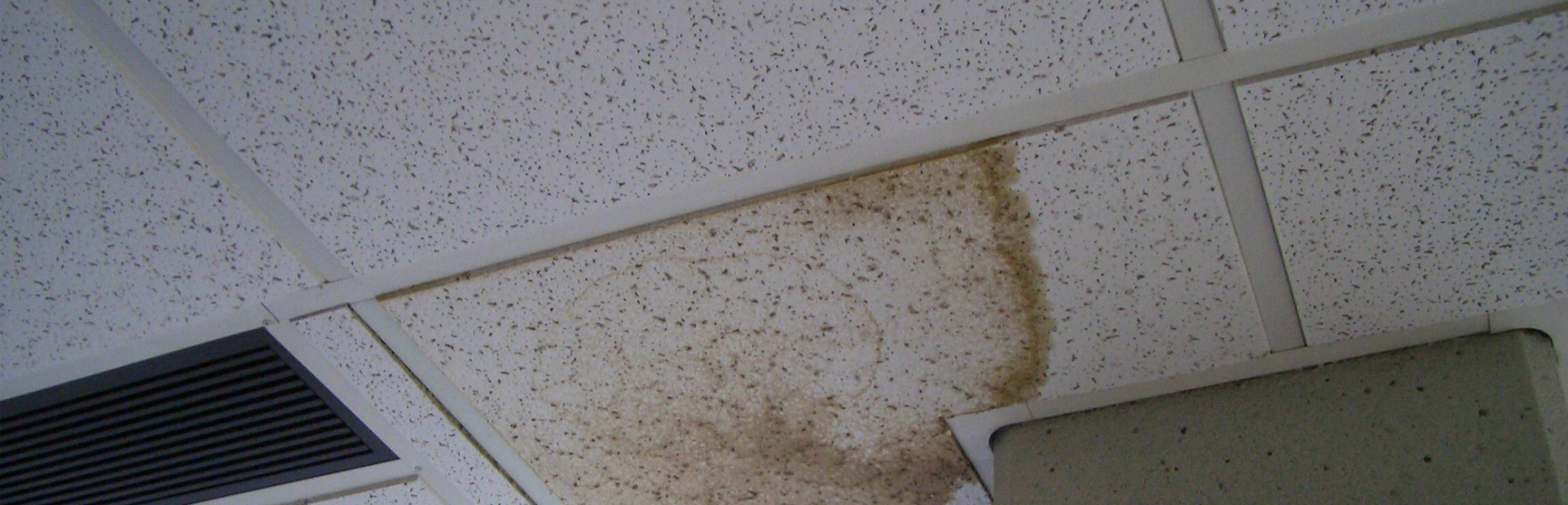 ceiling tile cleaning commercially clean anchorage carpet cleaning