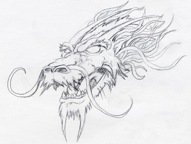 check out the chinese dragon head pic drawing available in resolution
