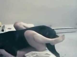 Dog sex videos in London