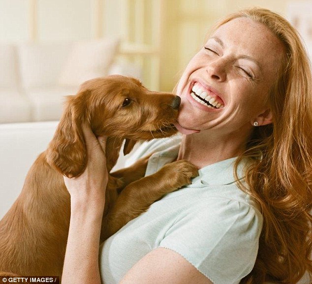 dogs can cause sepsis in humans just licking them doctors have warned after