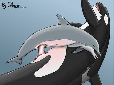 dolphin furry porn big dom small sub cetacean dolorcin dolphin female feral