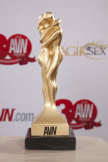 edgar award winner and bestselling author parodies give new life to stiff porn at avn convention