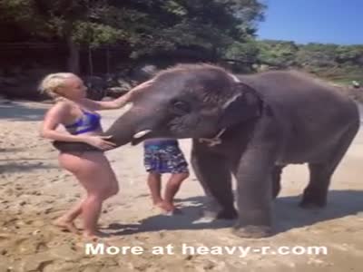 elephant girl videos free porn videos 3