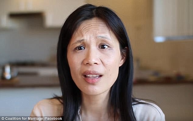 face of the no campaign chinese australian pansy lai was associated with