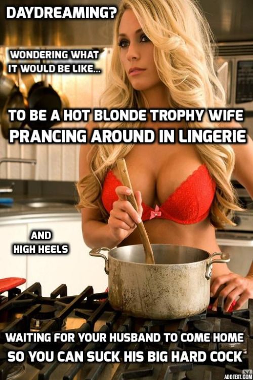 for all of non bimbo trophy wife female and sissy followers