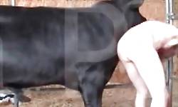 fresh zoo porn videos horse fuck dog sex pig porn asian zoo 12