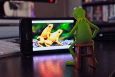 funny pictures about kermits alone time oh and cool pics about kermits alone time also kermits alone time photos