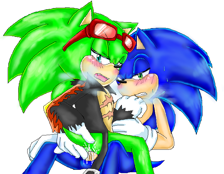 furry only male multiple males scourge the hedgehog sonic series sonic the hedgehog yaoi