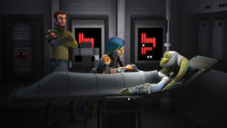 hera converses with sabine and kanan after waking from her coma