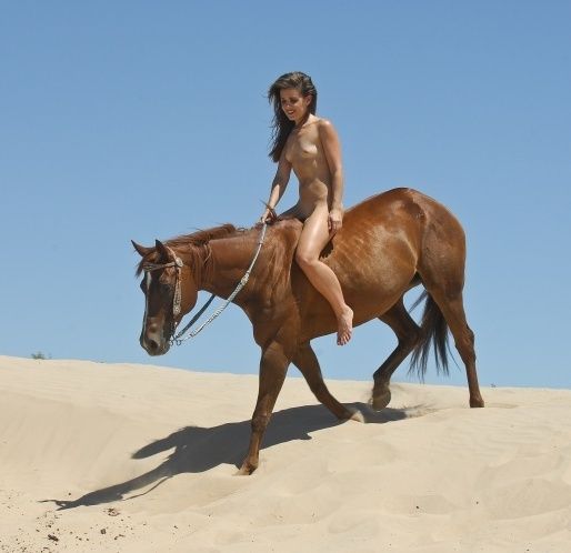 Paulo in sex São girls by horse Identifier Horse