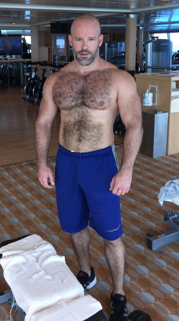 bears hunk bald hairy gay porn