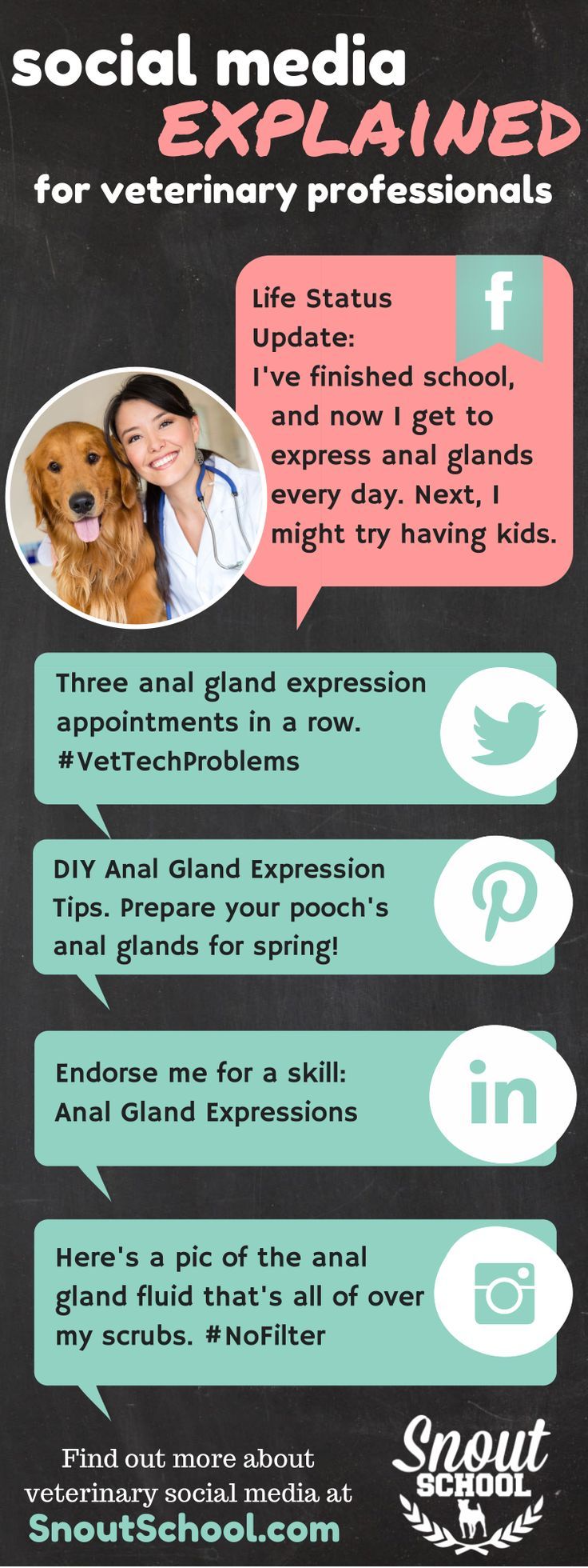 its important for any vet tech or veterinarian to know the differences between social media platforms
