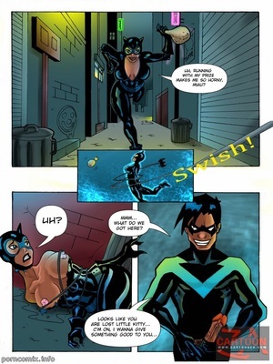 justice leagueu nightwing and catwoman porncomics