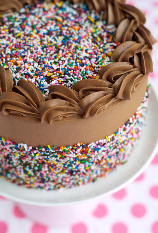 layer chocolate sprinkle cake a cookbook announcement