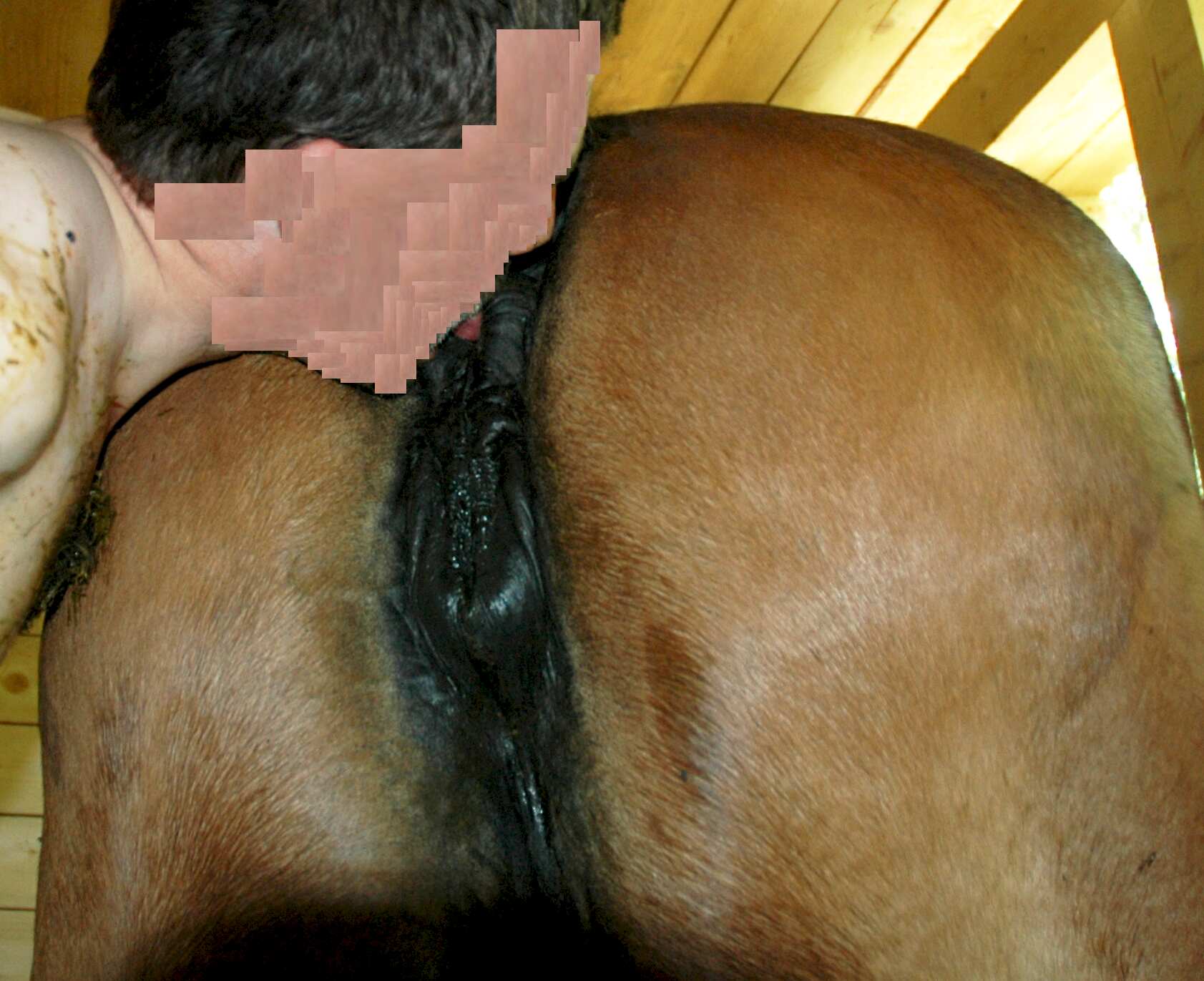 man loves horseshit and ass licking