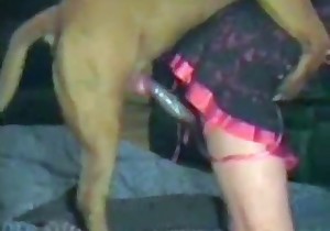 massive angry dog pounding tight pussy