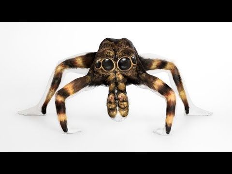naked contortionist models transformed into animals body paint youtube
