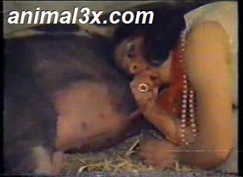 pig beastiality boar sex with woman igfap