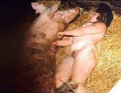pig fuck zoo pig taboo animal porn videos 1