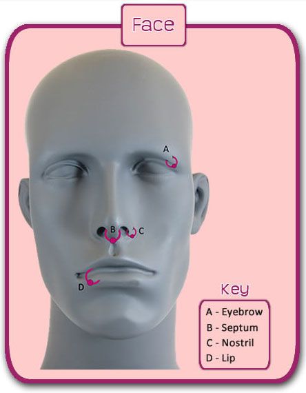 places you can wear a captive bead ring on your face body