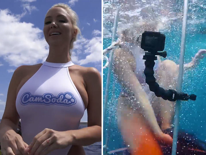 porn star bitten shark while filming underwater scene