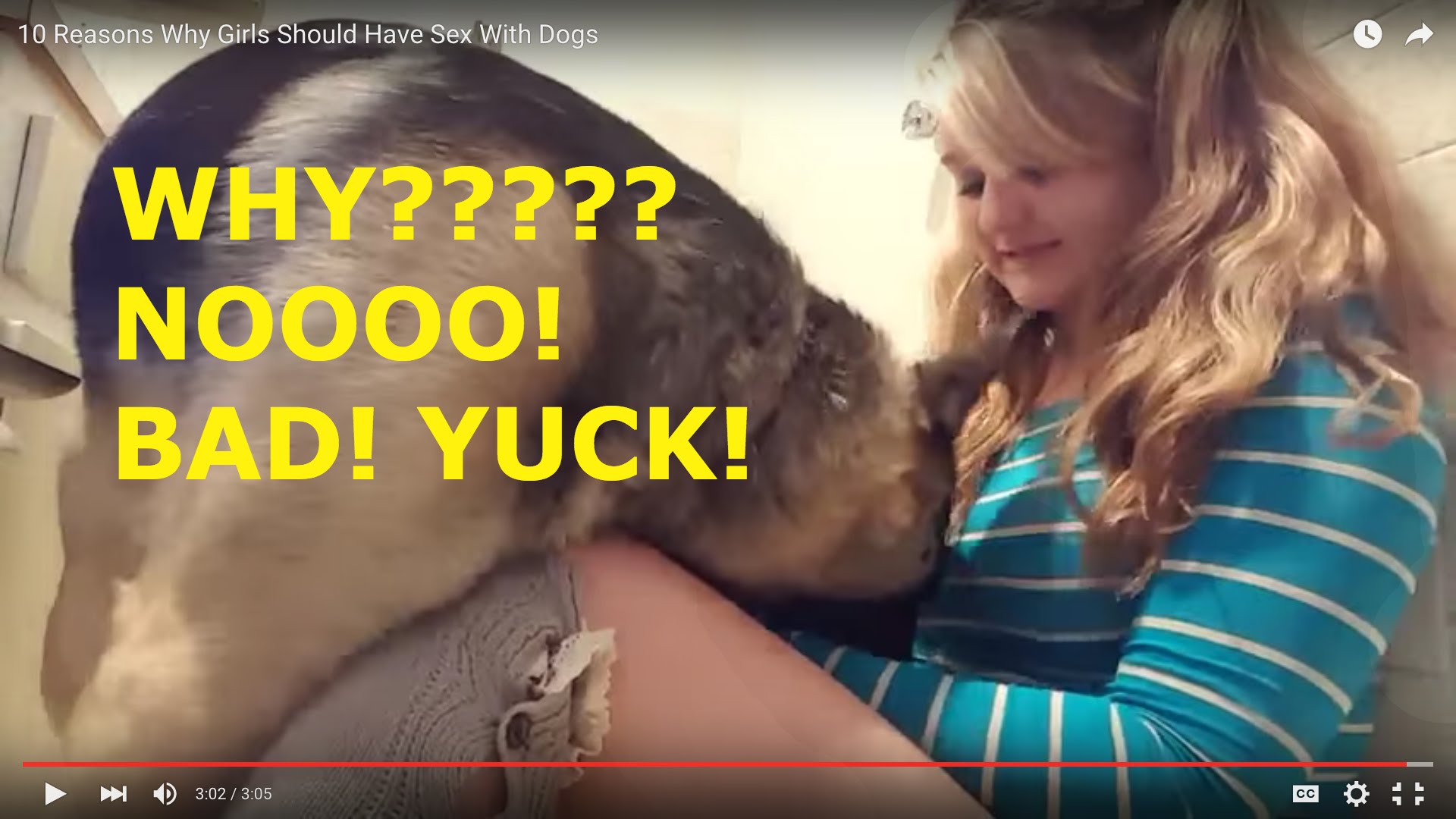 reasons you should not do it with a dog youtube
