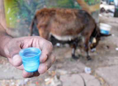 recent news from bangalore mentioned a man milking jennies female donkeys and selling their