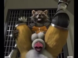rocket raccoon and fox animation with extra scene