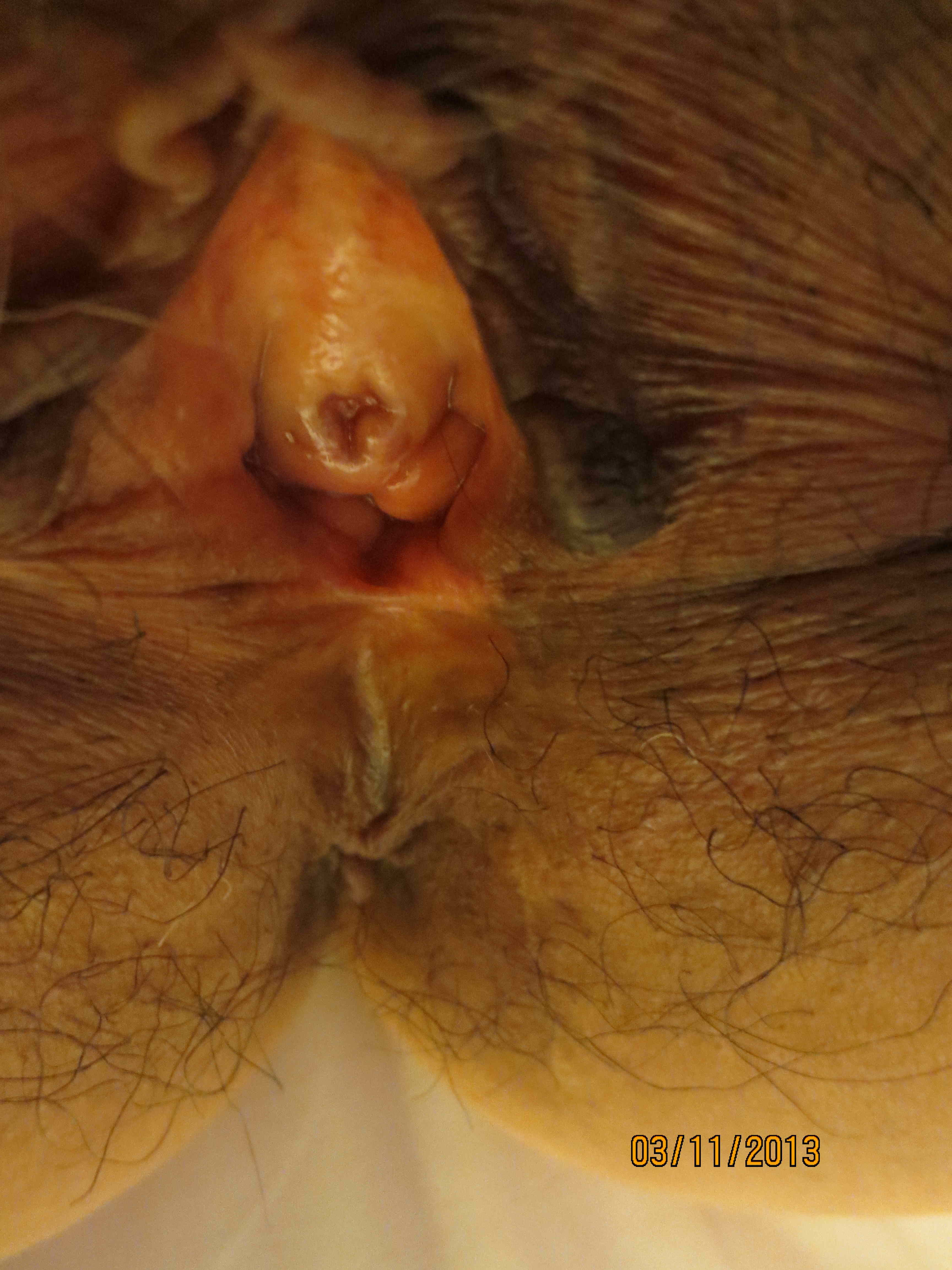 fleshlight filled pussy close up on yuvutu homemade amateur porn 1