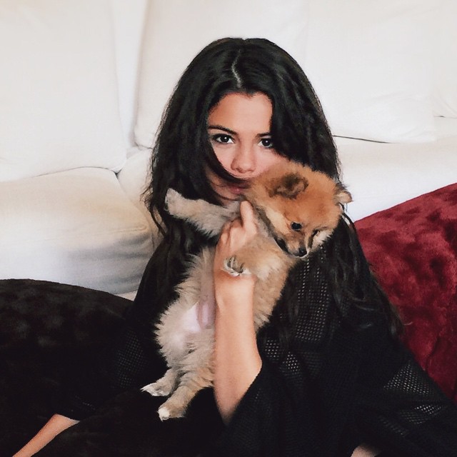 selena gomez plays with a dog oceanup teen gossip